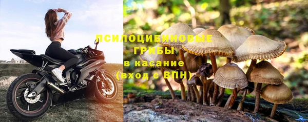 таблы Аркадак