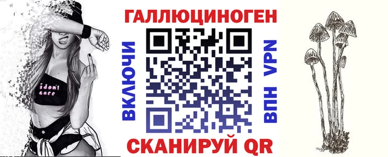 omg онион  Белинский  Галлюциногенные грибы Psilocybine cubensis 